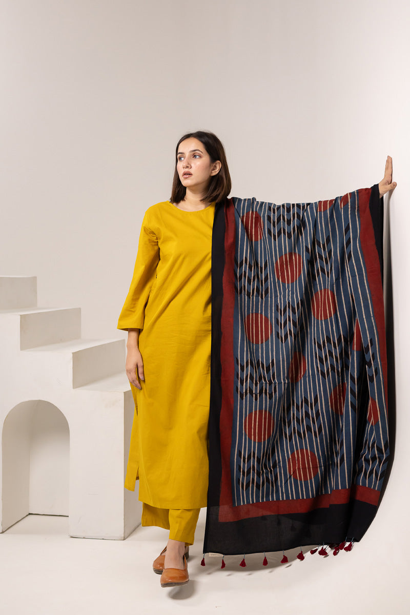 Set of 3 - Kurta, Dupatta & Pant - Earthy Echoes 02