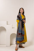 Set of 3 - Kurta, Dupatta & Culotte - Earthy Echoes 04